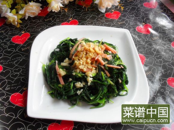 蒜香蒲公英