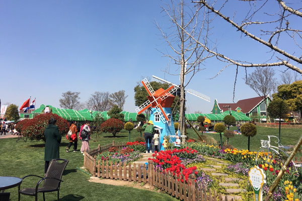 盐城荷兰花海好玩吗 大丰荷兰花海几月份去