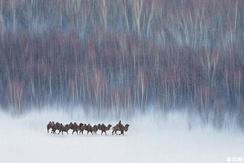 乌兰布统草原有什么景点好看