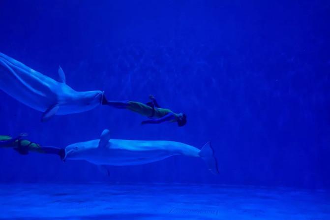 西宁童梦乐园在哪 西宁童梦乐园游玩攻略 西宁童梦乐园在哪 西宁童梦乐园游玩攻略