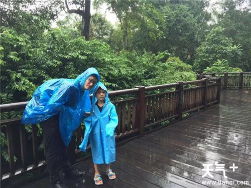 旅游遇到大雨怎么办 外出旅游如何应对雨天