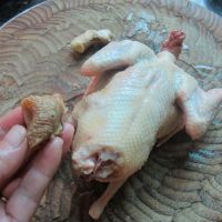 天麻乳鸽的做法步骤1