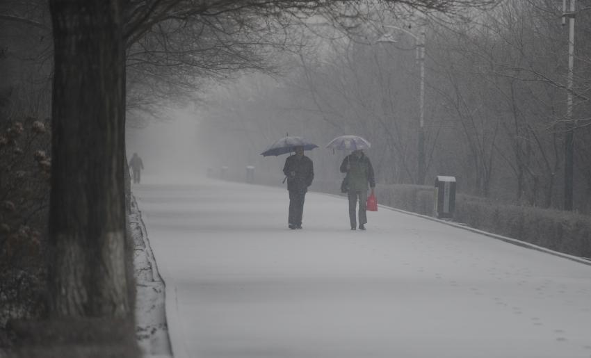 保暖要做好！吉林迎今冬以来最强雨雪 周末大风降温持续寒意难减