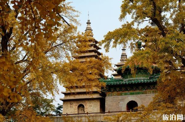 北京景美人少的地方 北京景美人少的景点有哪些