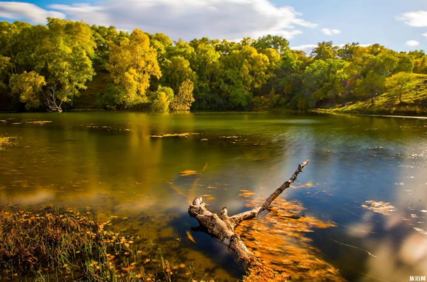乌兰布统草原有什么景点好看
