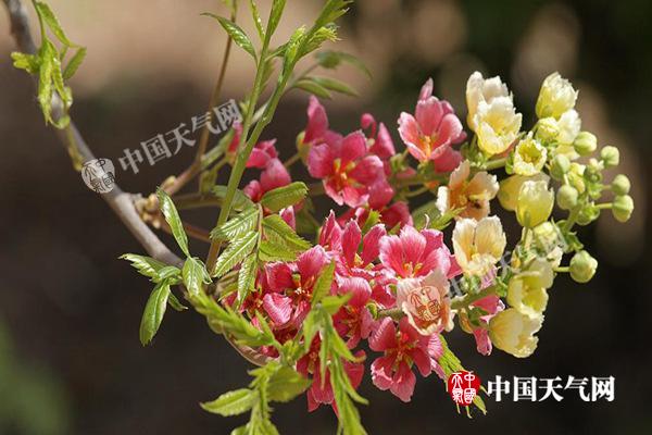 201804162109100EC8719924AA5CBA60888242A6E43891_副本.jpg