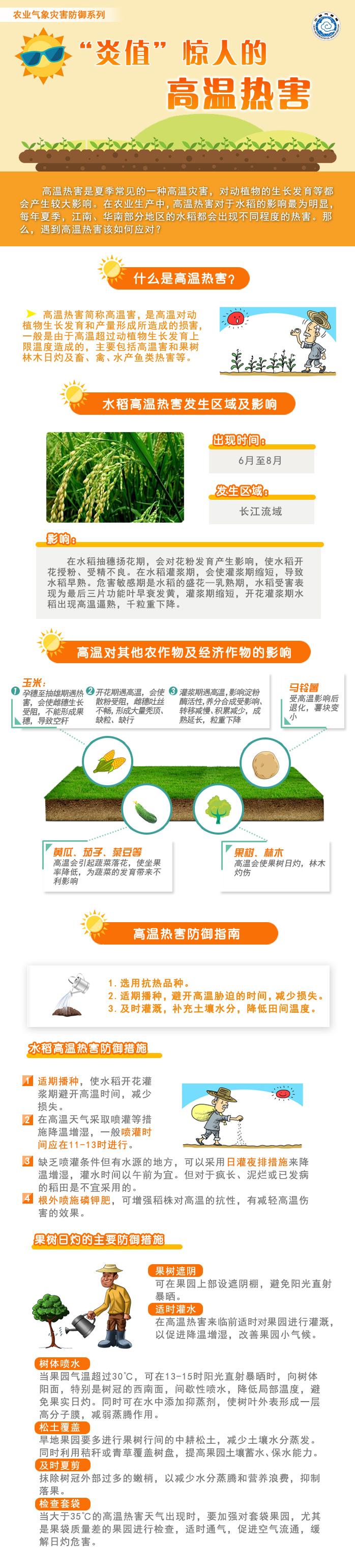为什么说“炎值”是惊人的高温热害