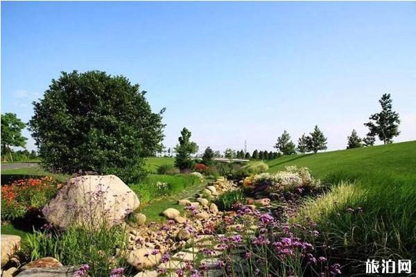 上海秋游哪里比较好+攻略信息 上海秋游哪里比较好+攻略信息