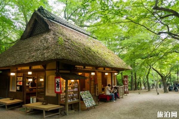 日本自由行攻略 如何玩转奈良 日本自由行攻略 如何玩转奈良