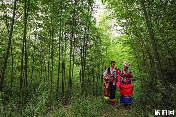 夏季到云南玉溪避暑好吗