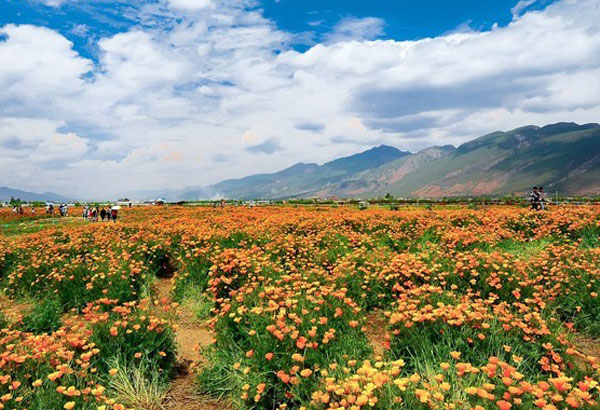 适合春游的地方有哪些 适合春游的国内景点