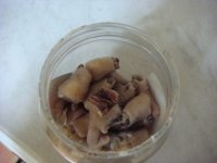 泡椒凤爪的做法步骤5