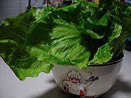 海鲜火锅的做法步骤21