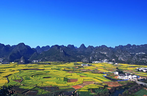 2019年贵州兴义油菜花几月开 兴义万峰林菜花开了吗