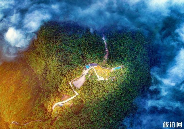 文成旅游美食攻略 文成县有什么好吃的特产 文成旅游美食攻略 文成县有什么好吃的特产