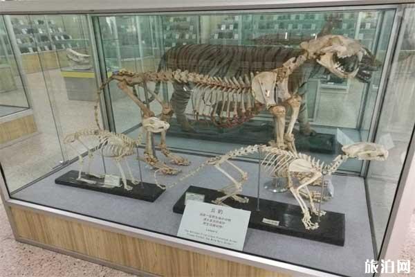 北京中医药大学中医药博物馆怎么样+地址+交通