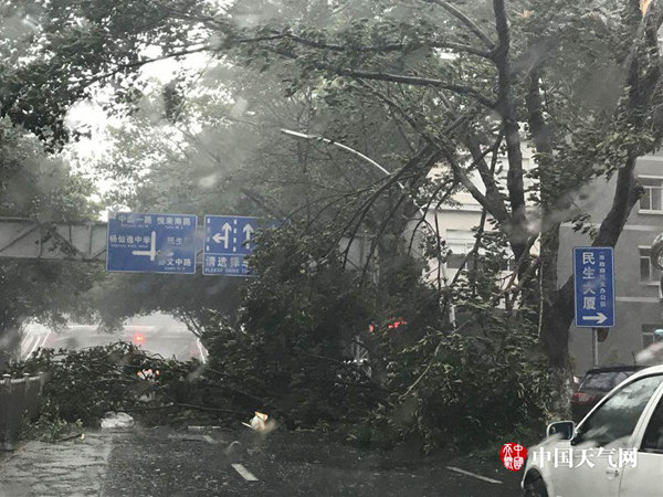 “天鸽”减弱为台风级 今夜进入广西风雨波及6省区