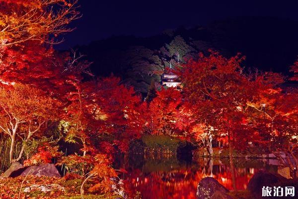 2019日本京都赏枫叶景点推荐+最佳时间