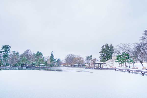 北海道看雪哪里最好 札幌和小樽哪个值得去