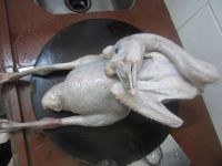 自制卤鹅的做法步骤1