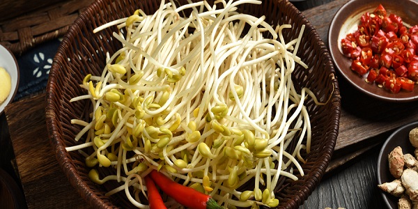 在家怎么发豆芽 自制豆芽最简单的方法