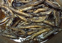 香椿煎泥鳅的做法步骤6