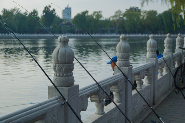 重庆钓鱼的地方 重庆哪些地方可以钓鱼