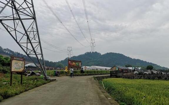 今起浙江炎热将再度回归 局地有雷阵雨外出需备好雨具