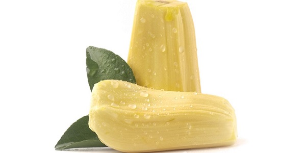 菠萝蜜怎么保存 菠萝蜜的保存技巧