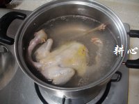 发菜鸽子汤的做法步骤3