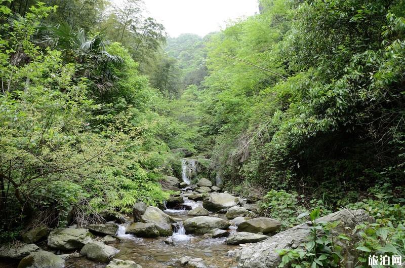 大熊山国家森林公园游玩攻略
