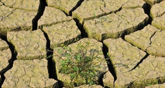 内蒙古干旱面积超六成重旱为主 未来5天有雨雪来救场