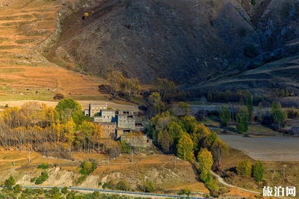 稻城秋天摄影技巧+注意事项 稻城秋天摄影技巧+注意事项