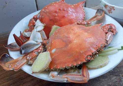 珠海有什么必吃的美食 珠海必吃美食攻略