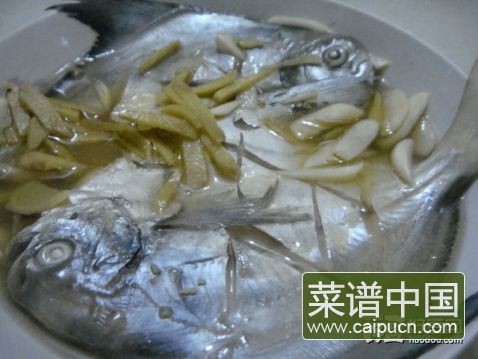 清蒸鲳鱼