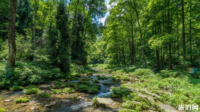 张家界四日游攻略路线