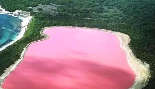 土耳其现粉色湖泊是怎么回事 粉色湖泊为什么是粉色的