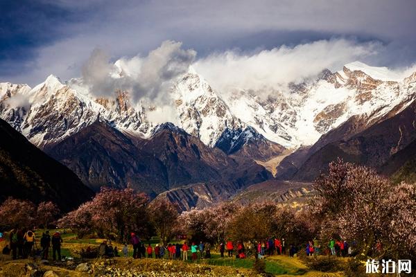 中国排名前五的最美雪山