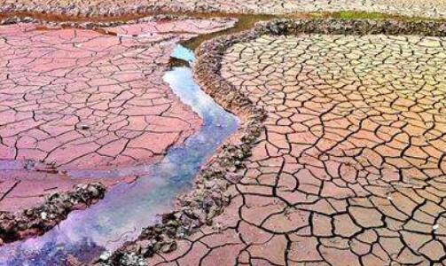 云南农作物干旱受灾618.67万亩 未来发生重大干旱风险很高