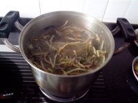 鱼腥草炖猪骨头的做法步骤9