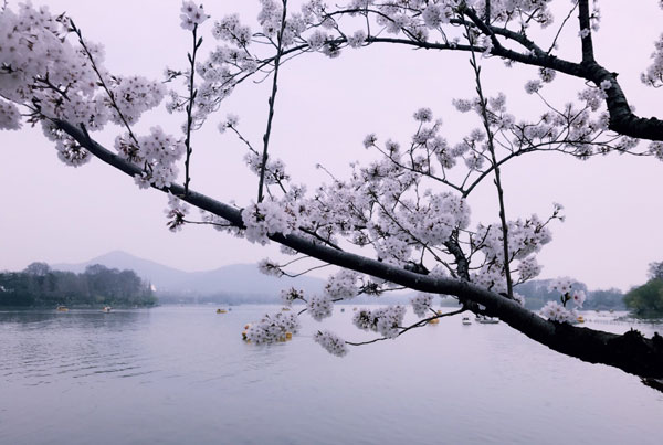 南京清明节适合去哪里旅游 南京好玩的地方推荐