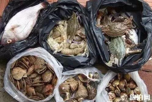 2019年适合自驾游的路线推荐