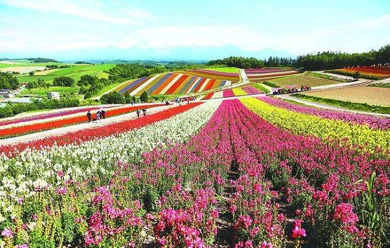 北海道适合亲子游的地方