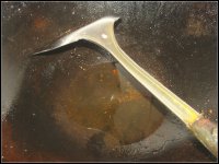 水煮活鱼的做法步骤19