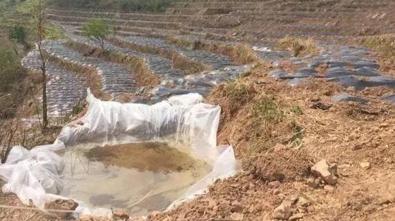 昆明遭严重干旱局地气温偏高 少雨致库塘蓄水持续减少