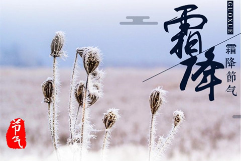 https://tqutf8.2345cdn.net/tianqiimg/weather_news/images/2020/10/23/595fe748d167ec7d6d4baf755da2baec.jpg