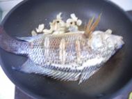 红烧罗非鱼的做法步骤3