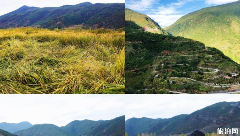 丽江四天五晚自由行旅游攻略多少钱