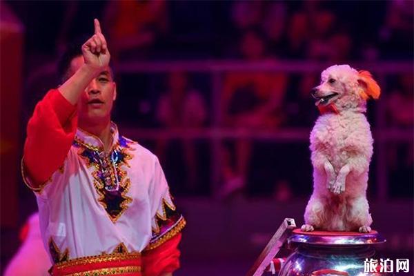 武汉环球大马戏嘉年华节目单+时间+门票2019