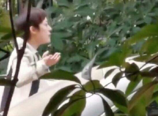 孙俪请求停止偷拍是怎么回事 孙俪斥偷拍者原因为何